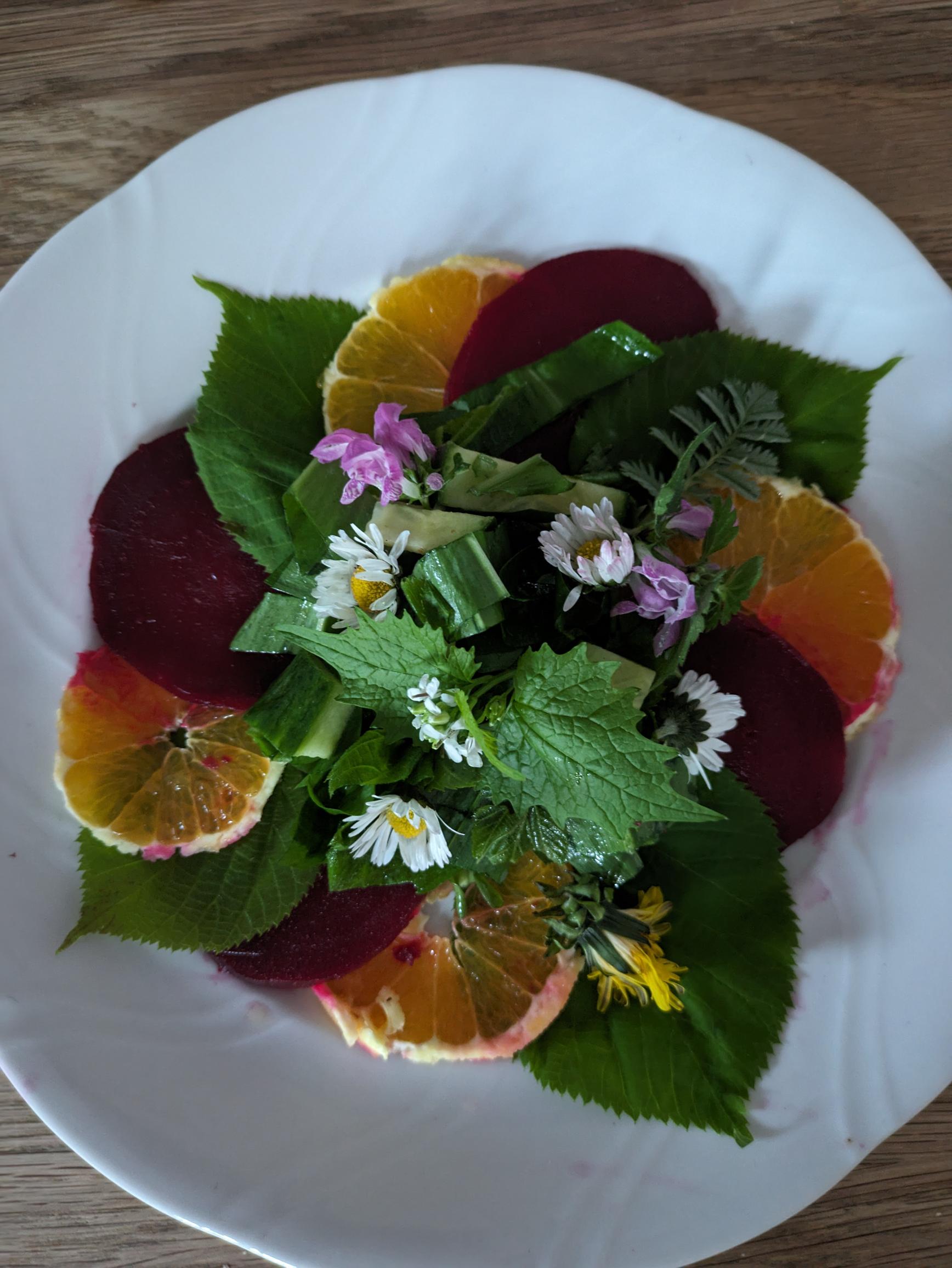 Kochen mit Wildkräutern