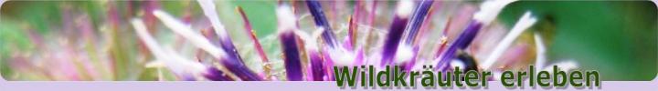 klettenbl�te